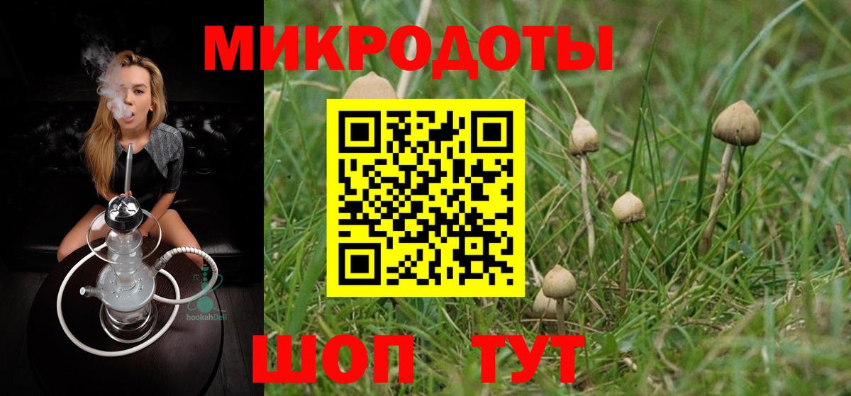 Псилоцибиновые грибы Psilocybine cubensis Ивантеевка